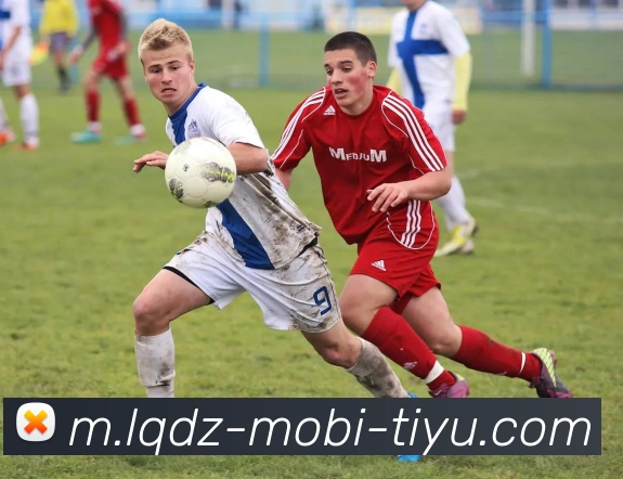 篮球赌注平台生态图